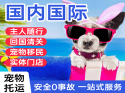 西庆航空快运国际宠物托运 【国